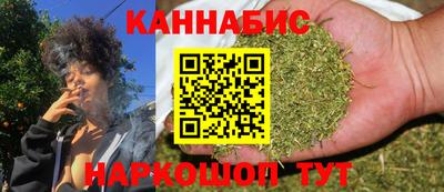 стаф Краснодар
