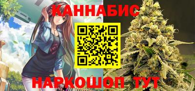 стаф Краснодар