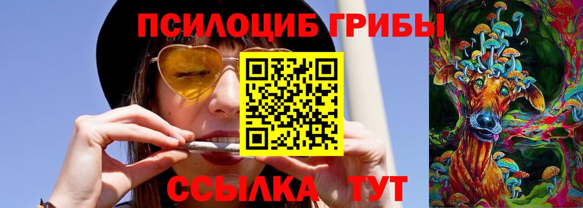 Галлюциногенные грибы Psilocybine cubensis  Галлюциногенные грибы ЛСД  Вход с VPN  Клинцы 