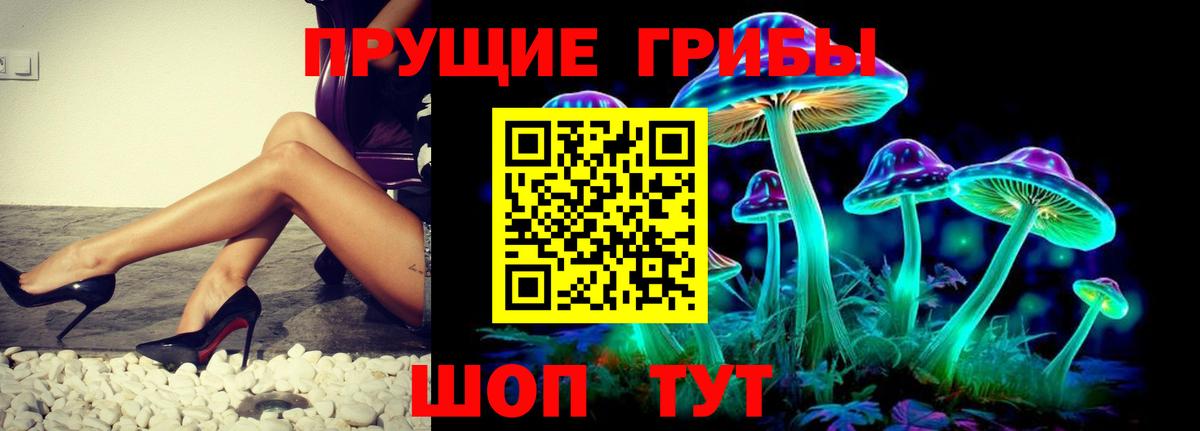 Галлюциногенные грибы GOLDEN TEACHER Клинцы